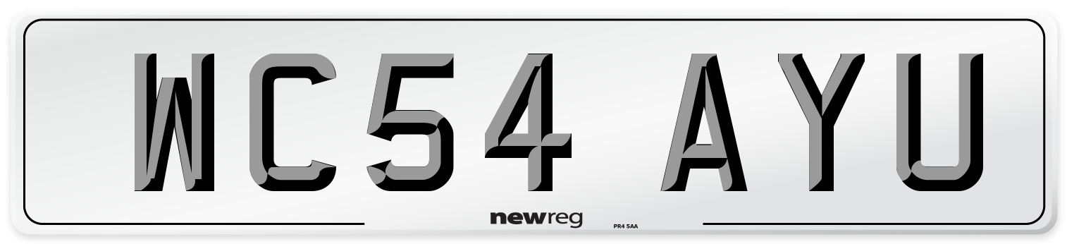 WC54 AYU Number Plate from New Reg